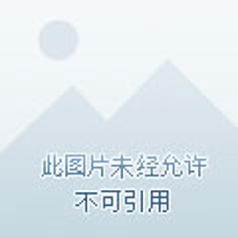 临海房屋出租市场观察
